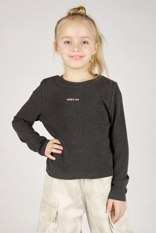 Лонгслив G-SW26523 Miasin (темно-серый, 100-140)