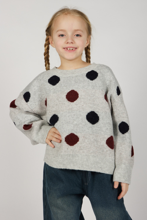 Свитшот G-SW26531 Miasin (светло-серый, 110-140)