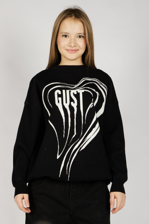 Свитшот G-SW26436 Miasin (Черный, 134-164)