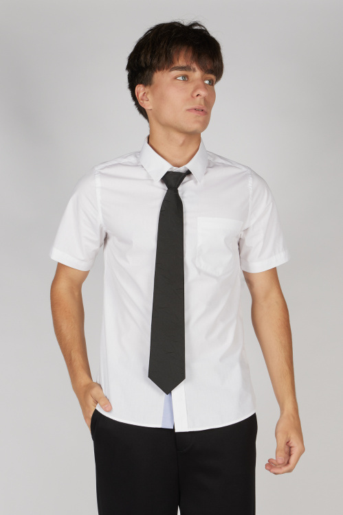 Галстук A-NT55577-26 Miasin (Черный, Унив. (4 шт.))