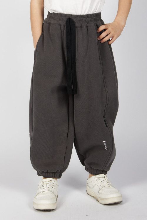 Брюки B-TR35505 Miasin (Серый, 110)