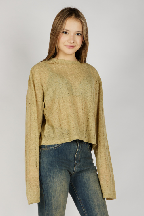 Свитшот G-SW26465 Miasin (Бежевый, 134-164)