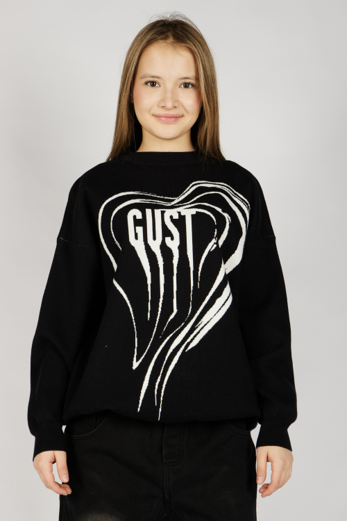 Свитшот G-SW26436 Miasin (Черный, 134-164)
