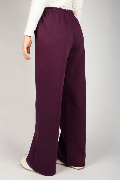 Брюки G-TR26453 Miasin (темно-фиолетовый, 134-164)