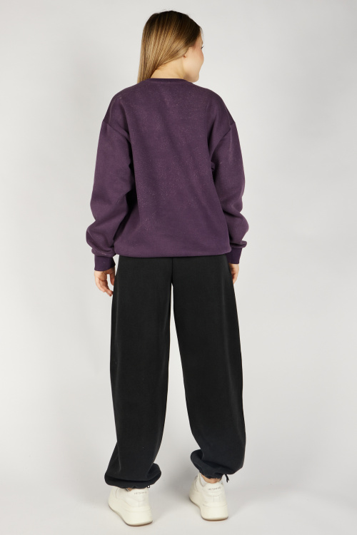 Свитшот G-SW26450 Miasin (темно-фиолетовый, 134-164)