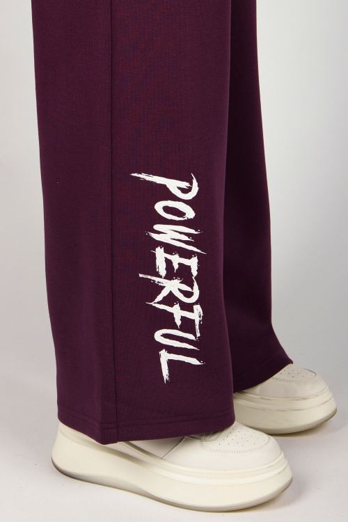 Брюки G-TR26453 Miasin (темно-фиолетовый, 134-164)