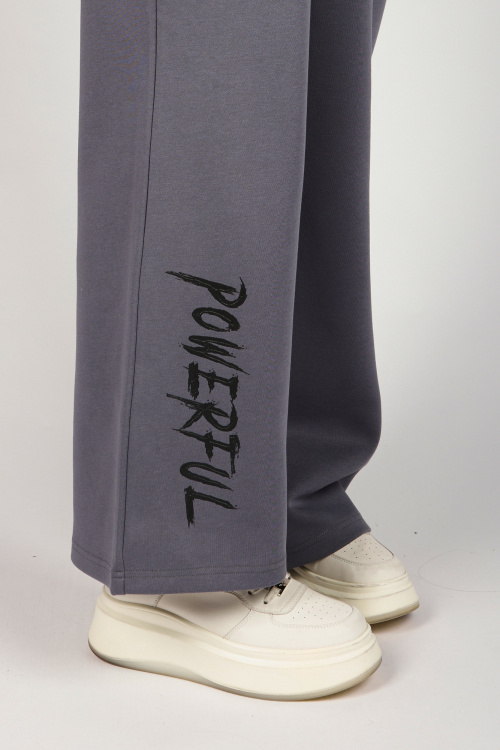 Брюки G-TR26453 Miasin (темно-серый, 134-164)