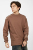 фуфайка B-SW34603 (Коричневый, 152)