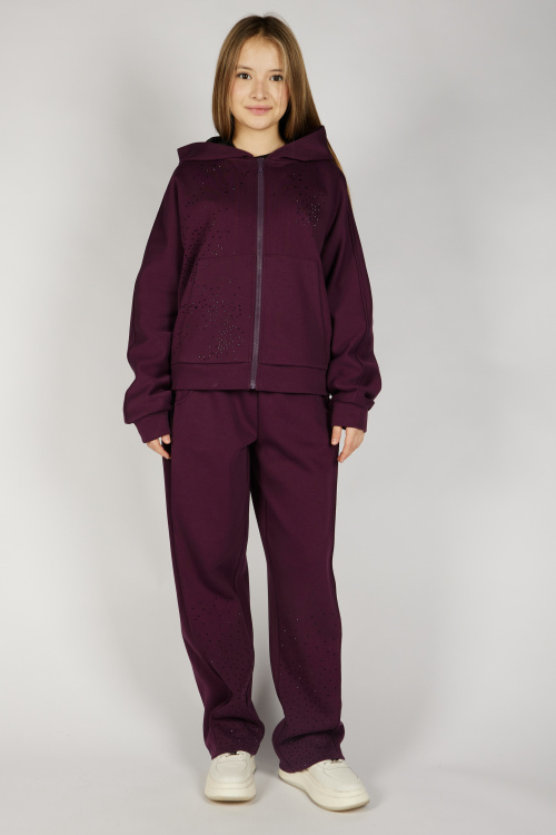 Толстовка на молнии G-HDZ26454 Miasin (темно-фиолетовый, 134-164)
