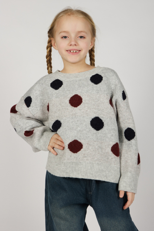 Свитшот G-SW26531 Miasin (светло-серый, 110-140)