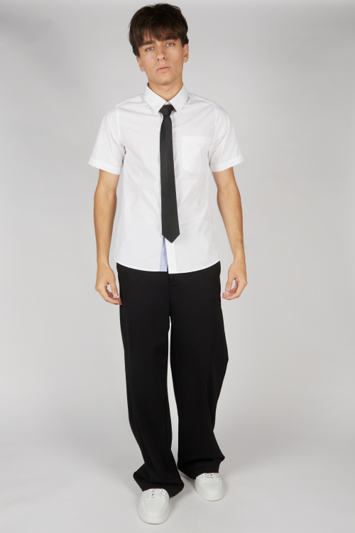 Галстук A-NT55578-26 Miasin (Черный, Унив. (4 шт.))