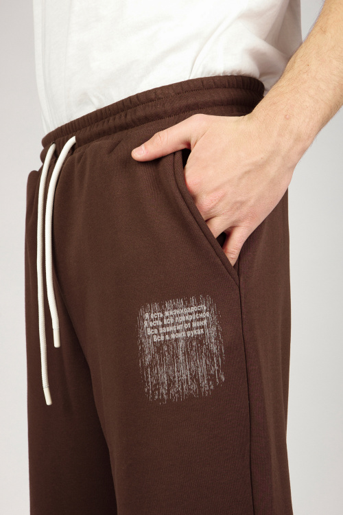 Брюки B-TR36511 Miasin (коричневый, 140-170)