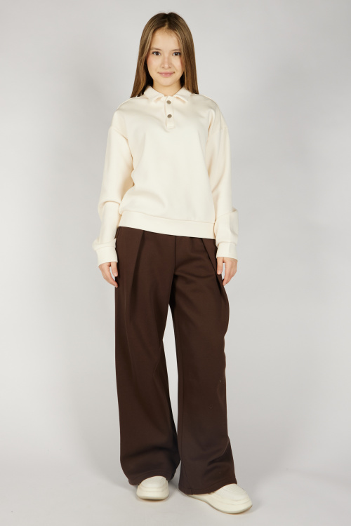 Брюки G-TR26494 Miasin (коричневый, 134-164)