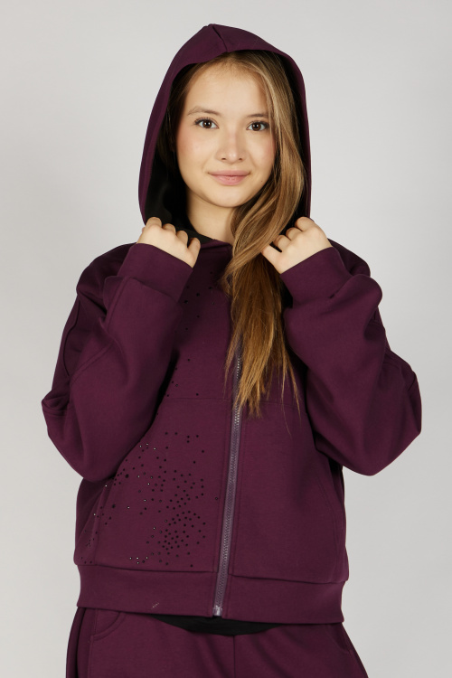 Толстовка на молнии G-HDZ26454 Miasin (темно-фиолетовый, 134-164)