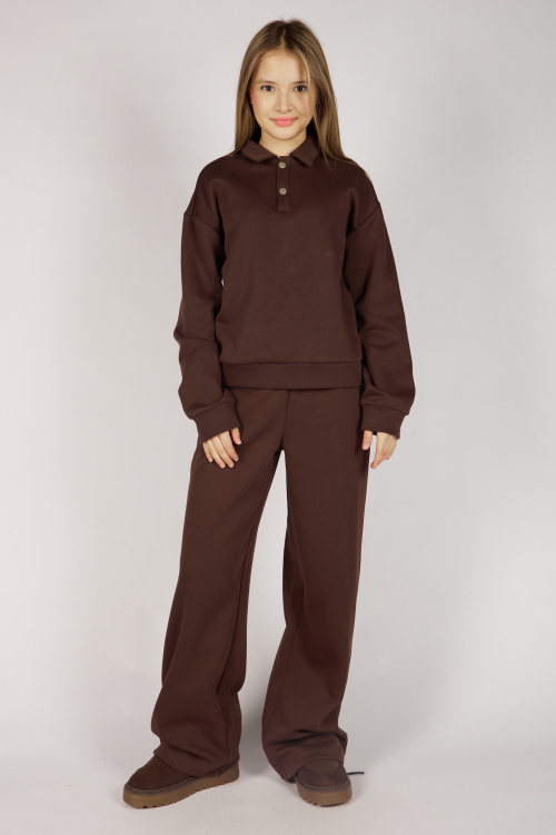 Брюки G-TR26470 Miasin (коричневый, 134-164)